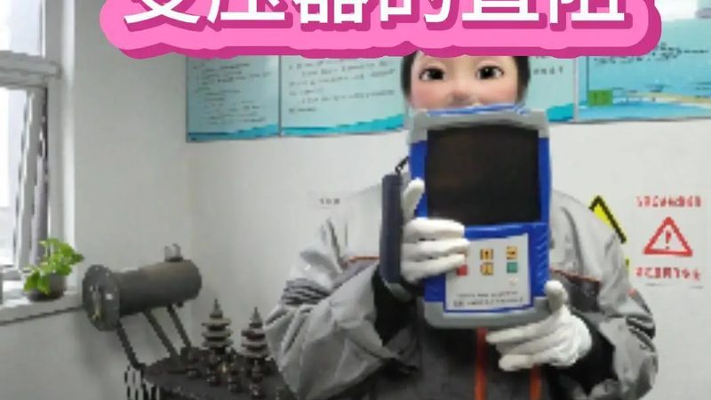 防爆称重仪表接线图解：安全与精确的桥梁